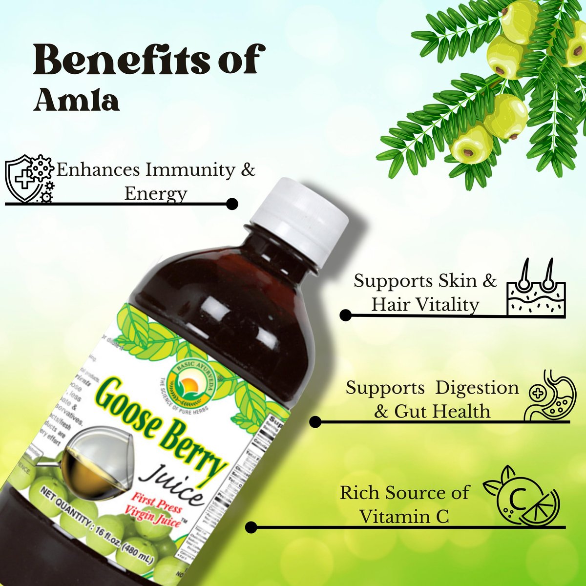 Basic Ayurveda Amla (Gooseberry) Saft | 960 ml | Reich an natürlichem Vitamin C für Immunität, Hautglanz & Haargesundheit | Pflanzliche Entgiftung & tägliches ayurvedisches Wellnessgetränk | Ohne Zuckerzusatz