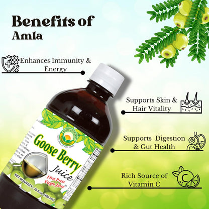 Basic Ayurveda Amla (Gooseberry) Saft | 960 ml | Reich an natürlichem Vitamin C für Immunität, Hautglanz & Haargesundheit | Pflanzliche Entgiftung & tägliches ayurvedisches Wellnessgetränk | Ohne Zuckerzusatz