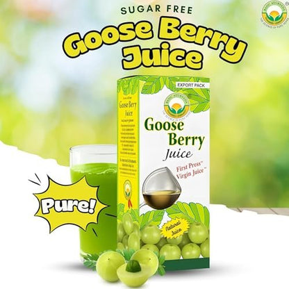 Basic Ayurveda Amla (Gooseberry) Saft | 960 ml | Reich an natürlichem Vitamin C für Immunität, Hautglanz & Haargesundheit | Pflanzliche Entgiftung & tägliches ayurvedisches Wellnessgetränk | Ohne Zuckerzusatz