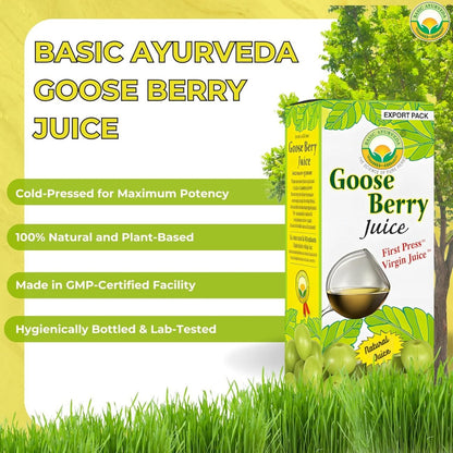 Basic Ayurveda Amla (Gooseberry) Saft | 960 ml | Reich an natürlichem Vitamin C für Immunität, Hautglanz & Haargesundheit | Pflanzliche Entgiftung & tägliches ayurvedisches Wellnessgetränk | Ohne Zuckerzusatz