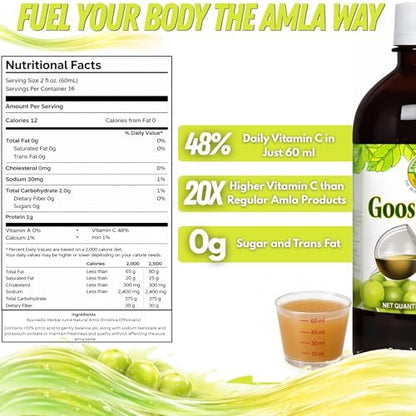 Basic Ayurveda Amla (Gooseberry) Saft | 960 ml | Reich an natürlichem Vitamin C für Immunität, Hautglanz & Haargesundheit | Pflanzliche Entgiftung & tägliches ayurvedisches Wellnessgetränk | Ohne Zuckerzusatz