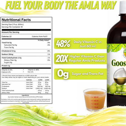 Basic Ayurveda Amla (Gooseberry) Saft | 960 ml | Reich an natürlichem Vitamin C für Immunität, Hautglanz & Haargesundheit | Pflanzliche Entgiftung & tägliches ayurvedisches Wellnessgetränk | Ohne Zuckerzusatz