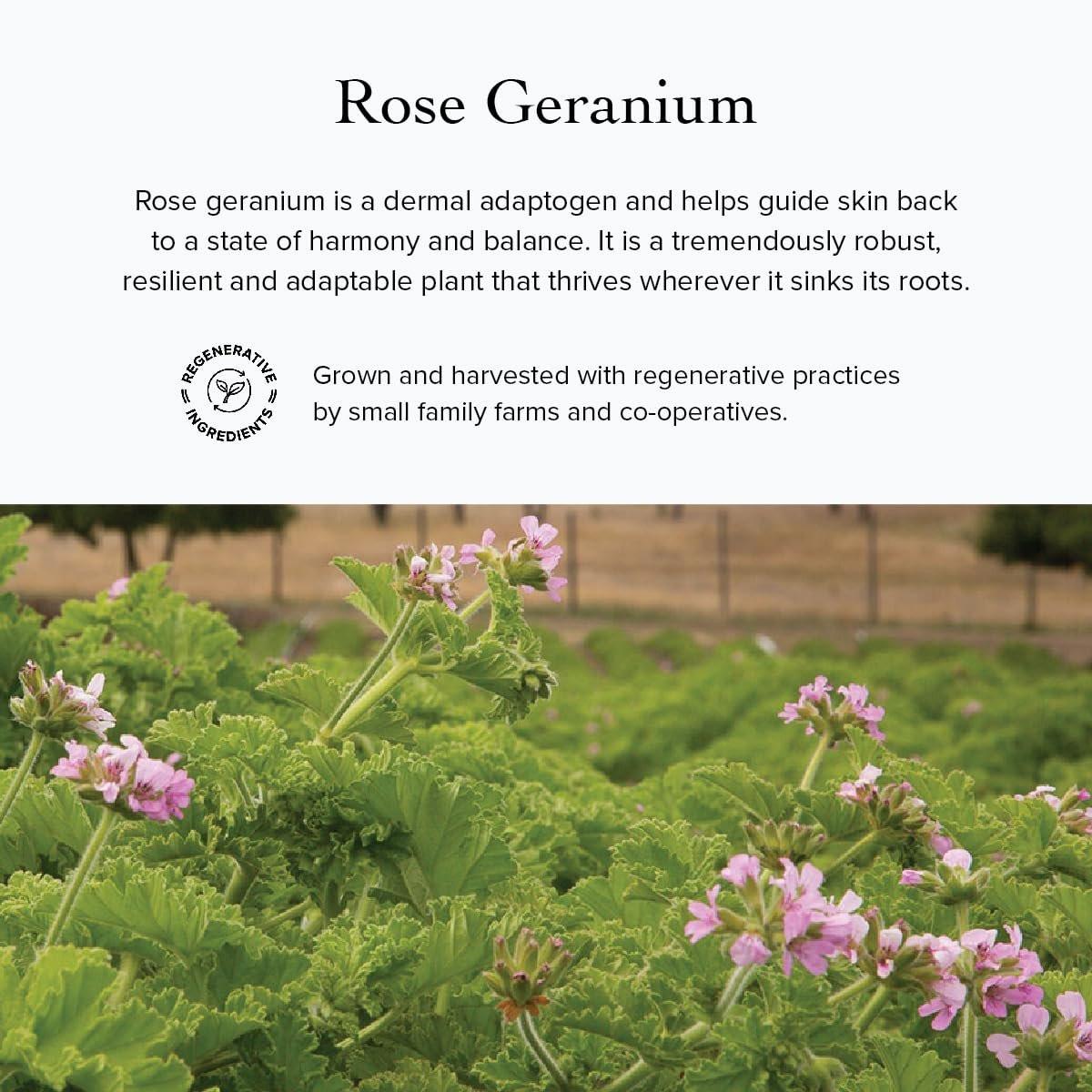 evanhealy Rose Geranium HydroSoul – Kupferdestilliertes Bio-Gesichtswasser für alle Hauttypen