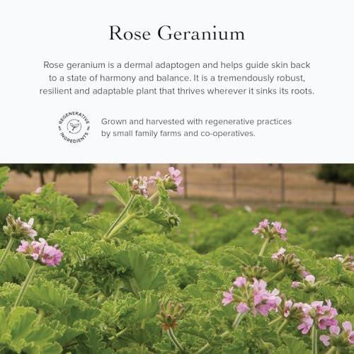 evanhealy Rose Geranium HydroSoul – Kupferdestilliertes Bio-Gesichtswasser für alle Hauttypen
