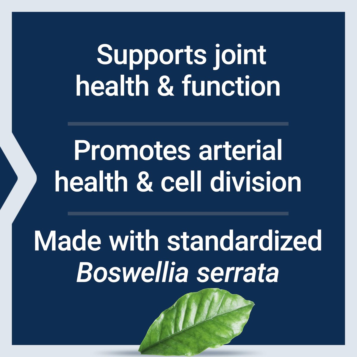Life Extension 5-LOX-Inhibitor mit AprèsFlex®, 100 mg, standardisierter Boswellia serrata Extrakt, Fördert Gelenk-, Zell- und Arteriengesundheit, Glutenfrei, Nicht-GMO, Vegetarisch, 60 Kapseln