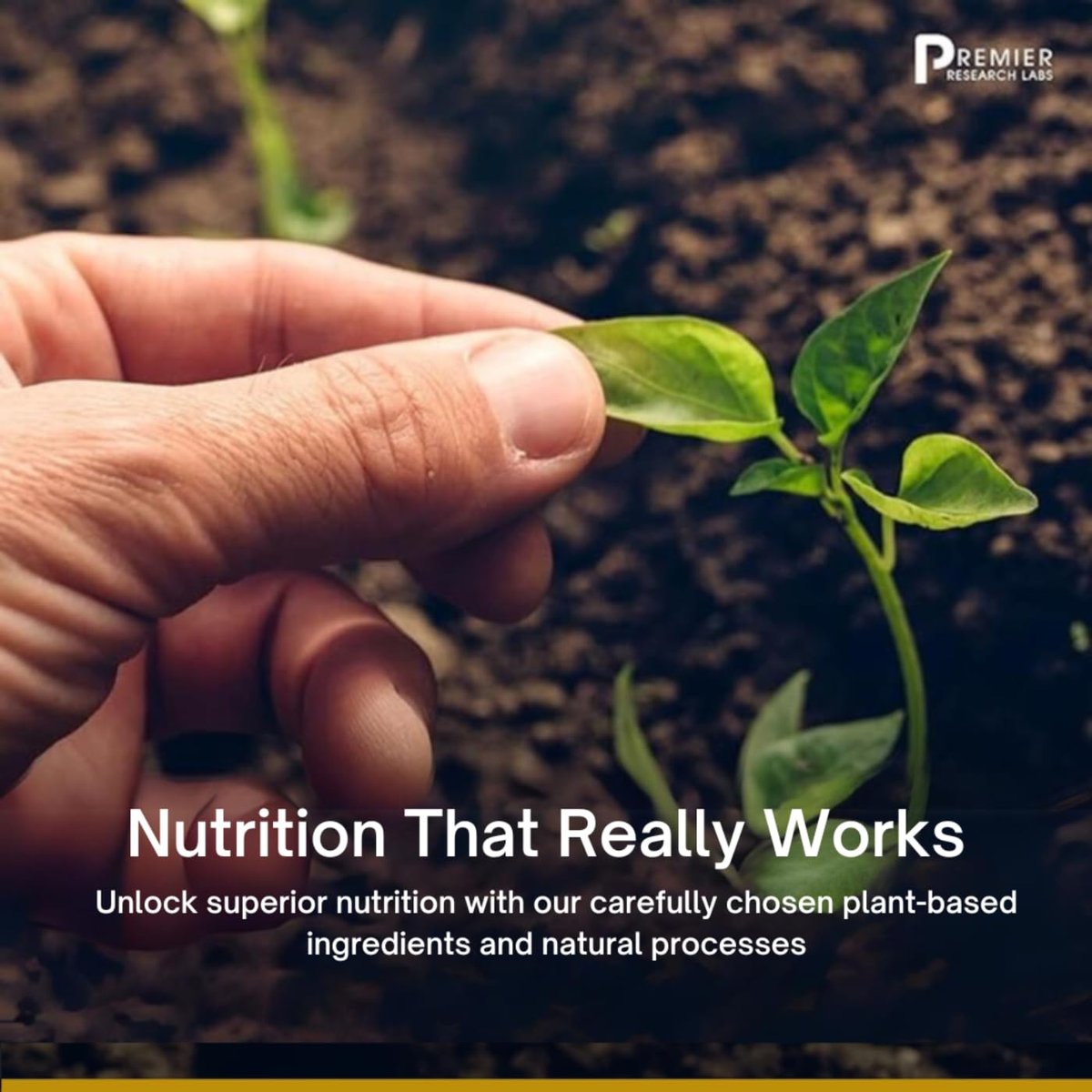 Premier Research Labs Premier HCL – Betain-HCl zur Unterstützung der optimalen Verdauungsfunktion und Nährstoffaufnahme – 90 vegane Kapseln