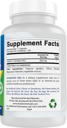 Best Naturals Acetyl-L-Carnitin (ALCAR) 500mg, 120 Kapseln, 120 Portionen – Non-GMO und Glutenfrei, 1 Kapsel pro Portion