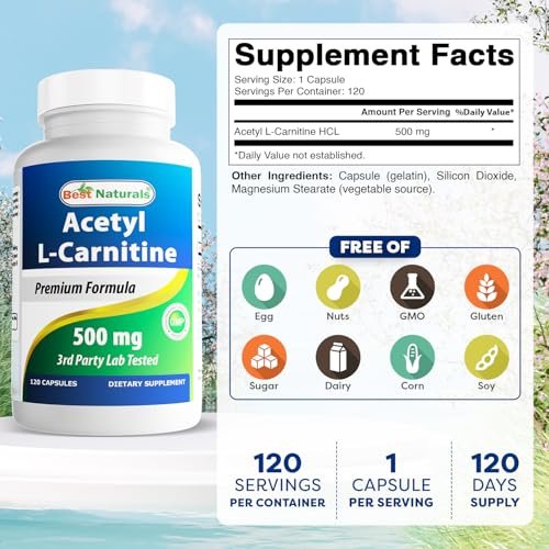 Best Naturals Acetyl-L-Carnitin (ALCAR) 500mg, 120 Kapseln, 120 Portionen – Non-GMO und Glutenfrei, 1 Kapsel pro Portion