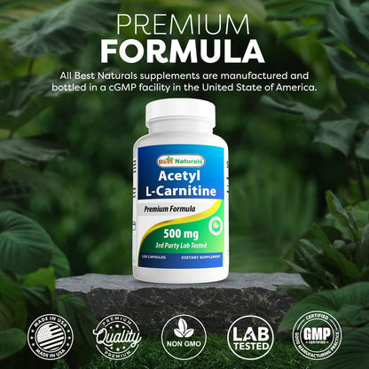 Best Naturals Acetyl-L-Carnitin (ALCAR) 500mg, 120 Kapseln, 120 Portionen – Non-GMO und Glutenfrei, 1 Kapsel pro Portion