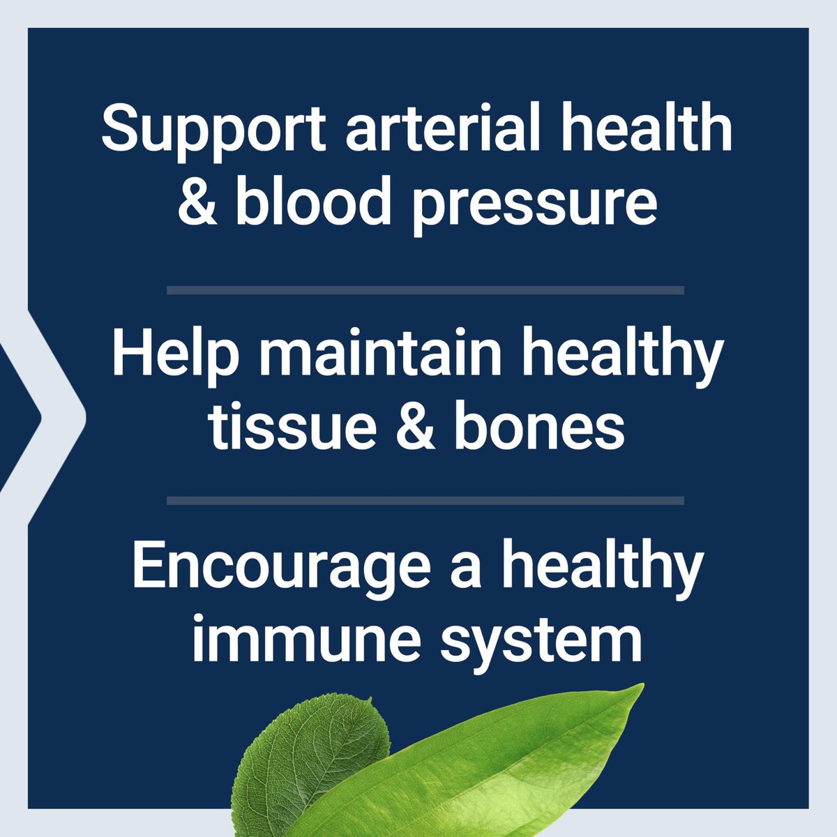 Life Extension L-Arginin Kapseln, 700 mg, mit Vitamin C & Aminosäure für optimale arterielle Gesundheit, Unterstützung von Herz & Immunsystem, gesundes Gewebe & Knochen, glutenfrei, nicht gentechnisch verändert, 200 Kapseln