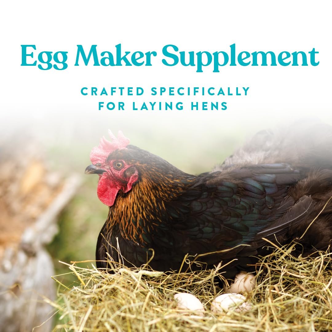 Manna Pro Omega Egg Maker – Geflügelfutterergänzung für Legehennen mit Omega-3-Fettsäuren, Vitaminen & Mineralstoffen, 5 Pfund