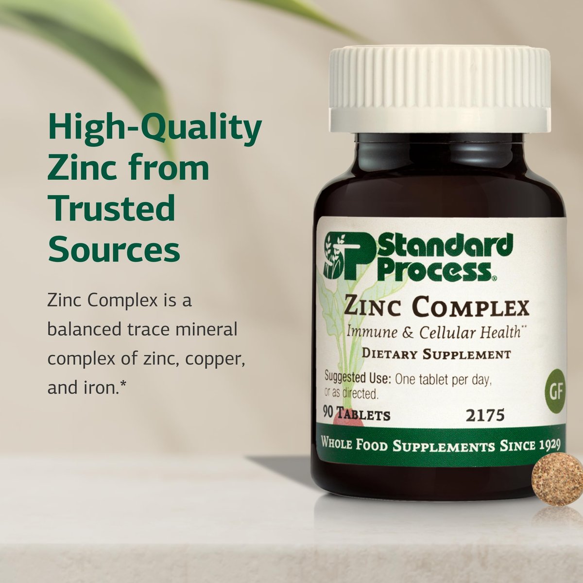 Standard Process Zinc Complex – Enzymunterstützung für normale Hodenfunktion, Immunsystem & Zellenergie – Glutenfrei, milchfrei, sojafrei – 90 Tabletten (90 Portionen)