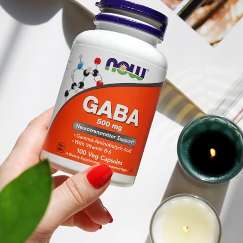 NOW Foods GABA 500 mg – 100 vegane Kapseln zur Unterstützung des Nervensystems