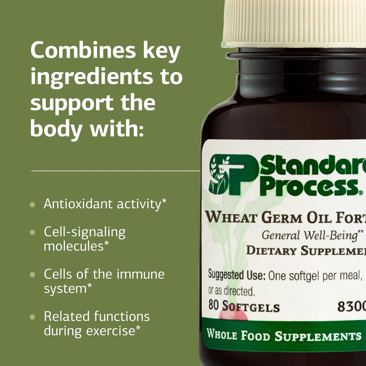 Standard Process Weizenkeimöl Fortified – Immununterstützung & Antioxidantien – Glutenfrei, milch- & sojafrei – 80 Softgels