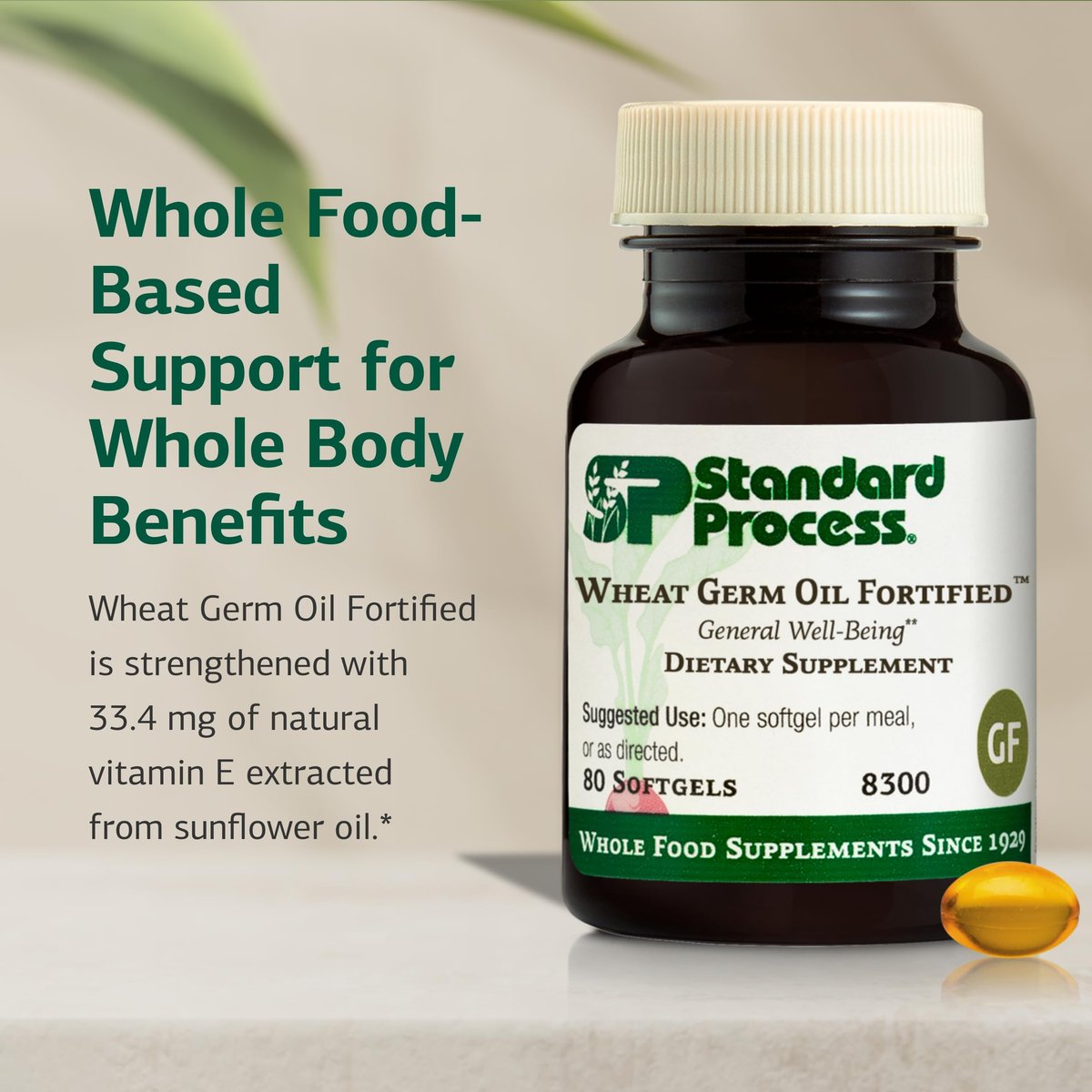 Standard Process Weizenkeimöl Fortified – Immununterstützung & Antioxidantien – Glutenfrei, milch- & sojafrei – 80 Softgels