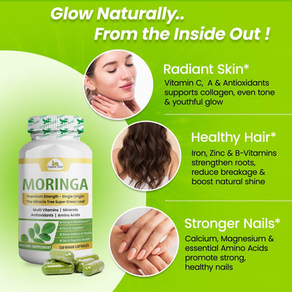 Organic Veda Moringa Kapseln 1000mg - Reines Bio-Moringa-Blatt Superfood - Vitamine & Antioxidantien - Für Energie, Verdauung, Gehirn & Haut - 120 Vegane Kapseln