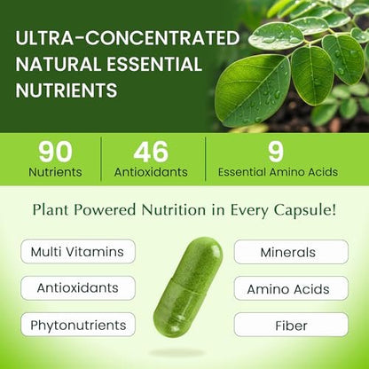Organic Veda Moringa Kapseln 1000mg - Reines Bio-Moringa-Blatt Superfood - Vitamine & Antioxidantien - Für Energie, Verdauung, Gehirn & Haut - 120 Vegane Kapseln