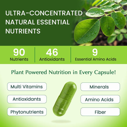 Organic Veda Moringa Kapseln 1000mg - Reines Bio-Moringa-Blatt Superfood - Vitamine & Antioxidantien - Für Energie, Verdauung, Gehirn & Haut - 120 Vegane Kapseln