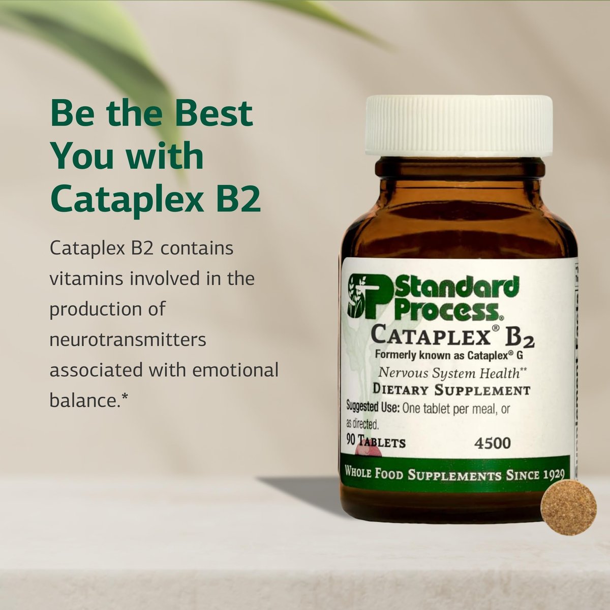 Standard Process Cataplex B2 – Vitamin B2 & B6 für Nervensystem, Gehirn und Nerven – 90 Tabletten