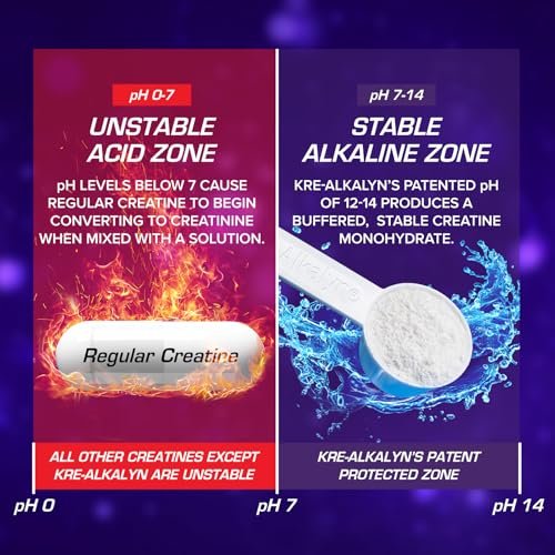 EFX Sports Kre-Alkalyn EFX Pulver | pH-korrigiertes Kreatin-Monohydrat für Kraft, Muskelwachstum & Leistung | 66 Portionen (ungeschmackt)