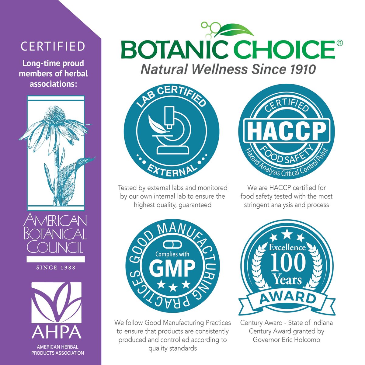 Botanic Choice Passionsblumen-Flüssigextrakt – Alkoholfreies Kräuterergänzungsmittel zur traditionellen Unterstützung der Entspannung – 29,6 ml