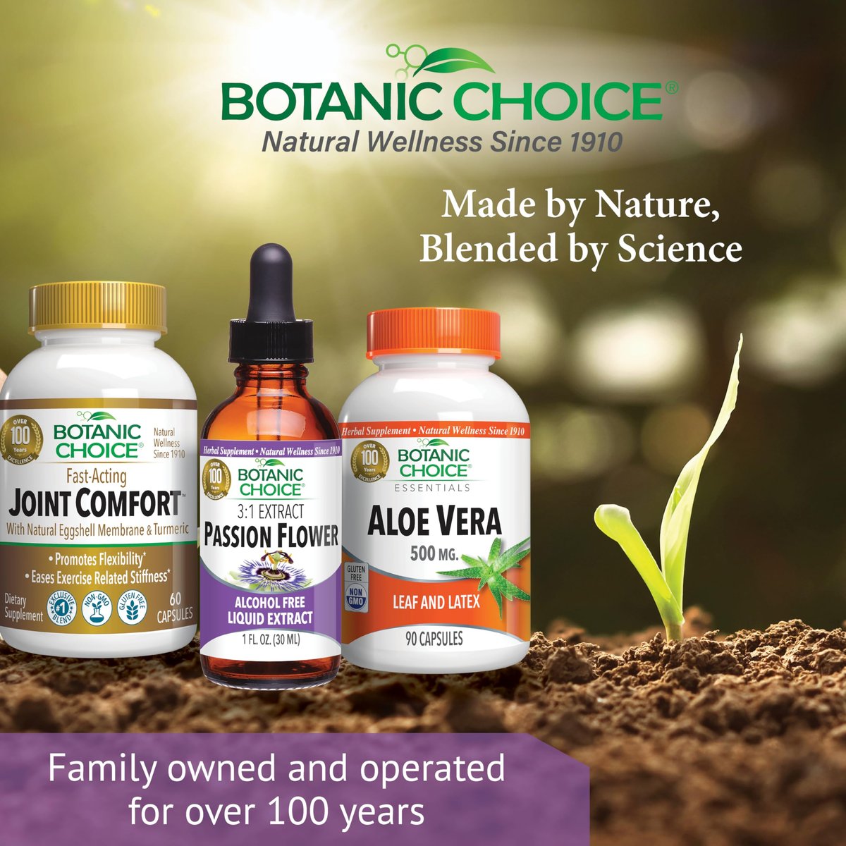 Botanic Choice Passionsblumen-Flüssigextrakt – Alkoholfreies Kräuterergänzungsmittel zur traditionellen Unterstützung der Entspannung – 29,6 ml