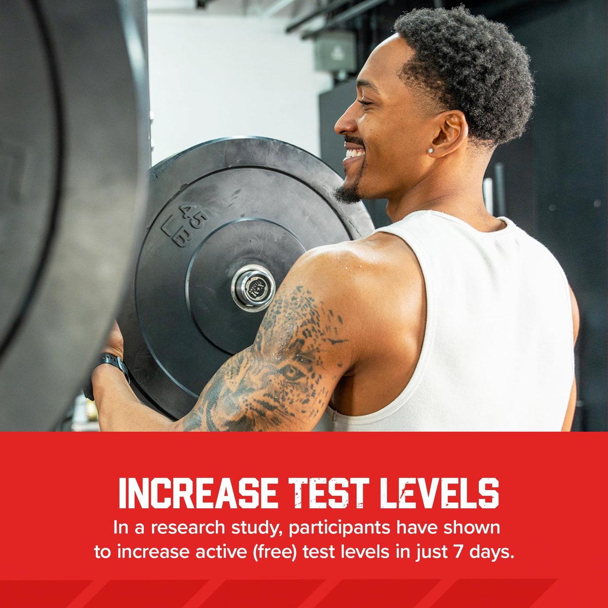 Six Star Testosteron Booster für Männer mit Rhodiola-Extrakt und Bor-Citrat – Nahrungsergänzungsmittel für Muskelwachstum, Ausdauer und Energie – 60 Kapseln