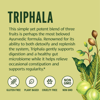 Banyan Botanicals Bio Triphala Pulver – Tägliche Verdauungsunterstützung & sanfte Darmreinigung – Reine Amla, Haritaki & Bibhitaki für Darmmikrobiom-Gesundheit & Regelmäßigkeit – 3,5 oz – USDA Bio