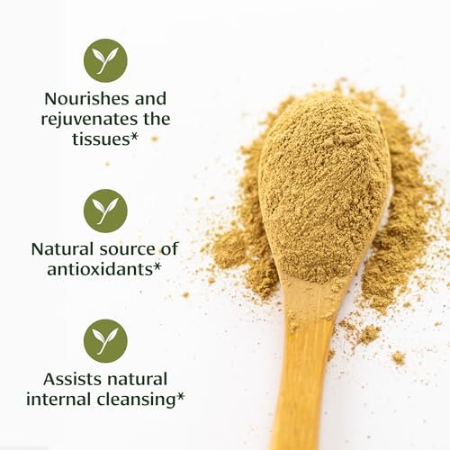 Banyan Botanicals Bio Triphala Pulver – Tägliche Verdauungsunterstützung & sanfte Darmreinigung – Reine Amla, Haritaki & Bibhitaki für Darmmikrobiom-Gesundheit & Regelmäßigkeit – 3,5 oz – USDA Bio
