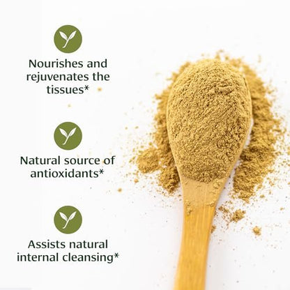 Banyan Botanicals Bio Triphala Pulver – Tägliche Verdauungsunterstützung & sanfte Darmreinigung – Reine Amla, Haritaki & Bibhitaki für Darmmikrobiom-Gesundheit & Regelmäßigkeit – 3,5 oz – USDA Bio