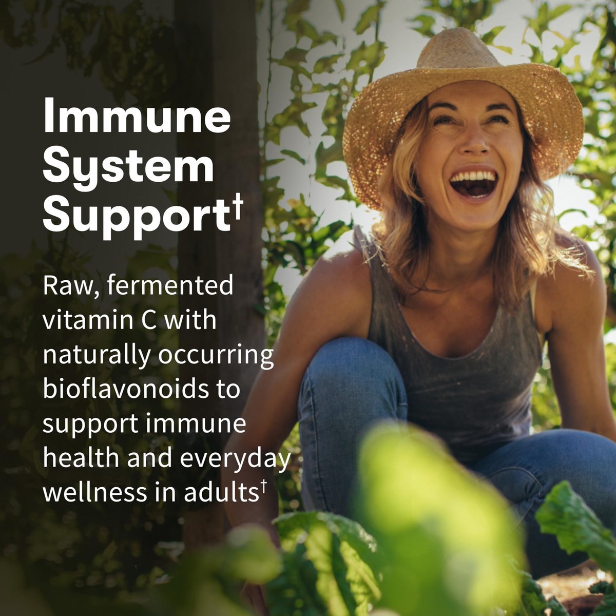 Garden of Life Vitamin Code Raw Vitamin C – 120 Kapseln, 500 mg Vollwert-Vitamin C mit Obst- und Gemüsemischung & Probiotika, vegan & glutenfrei