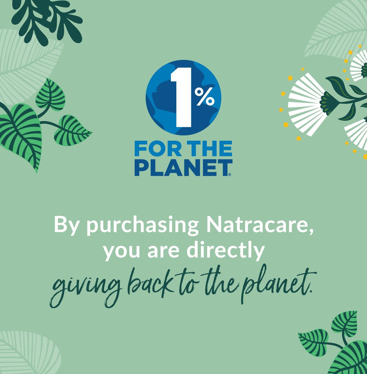 Natracare Panty Liners Curved 30er Pack - 100% Bio-Baumwolle, 3er Pack