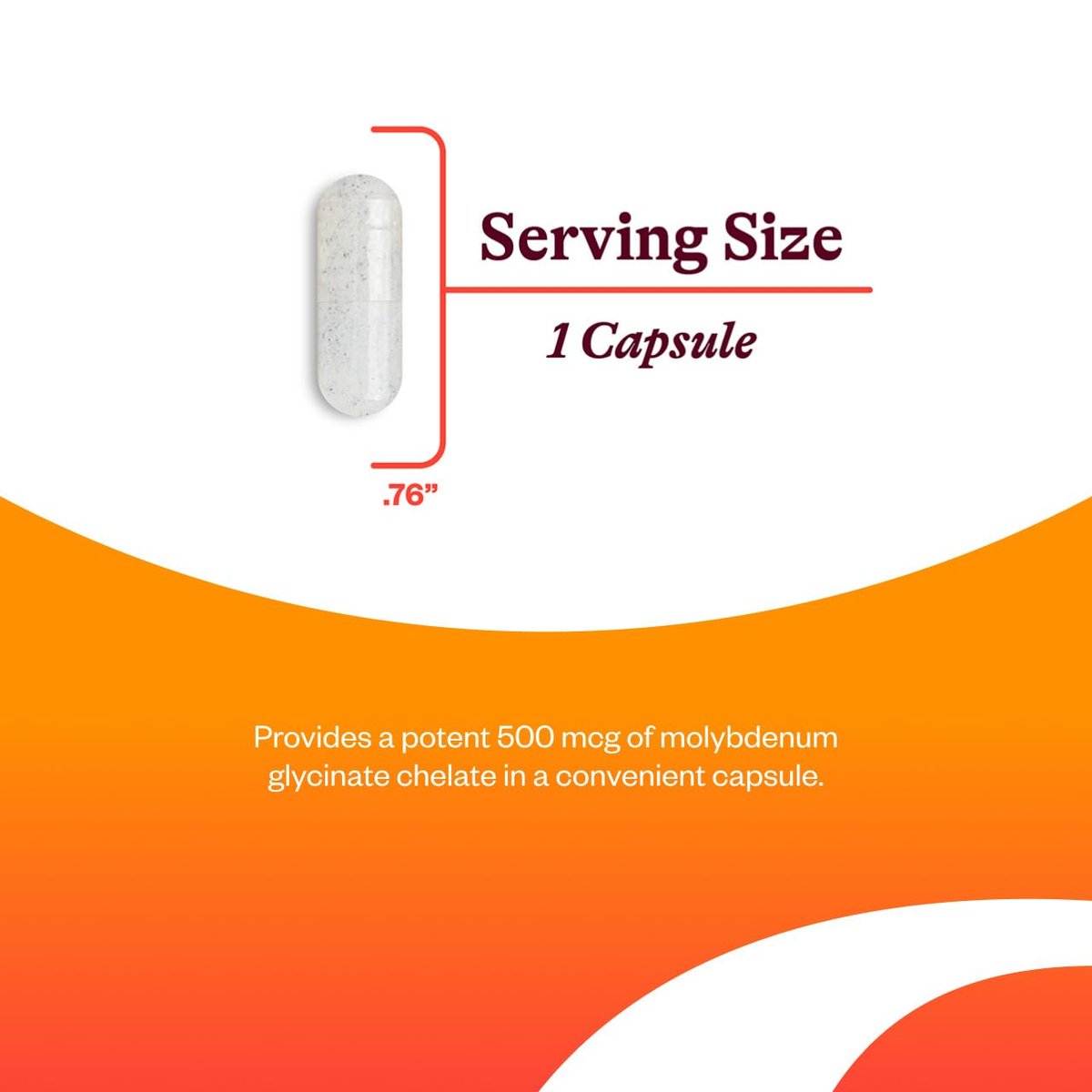 Seeking Health Molybdän – Nahrungsergänzung mit Molybdänglycinat-Chelat – Unterstützt Sulfitstoffwechsel & Zellgesundheit – Vegetarische & vegane Kapseln