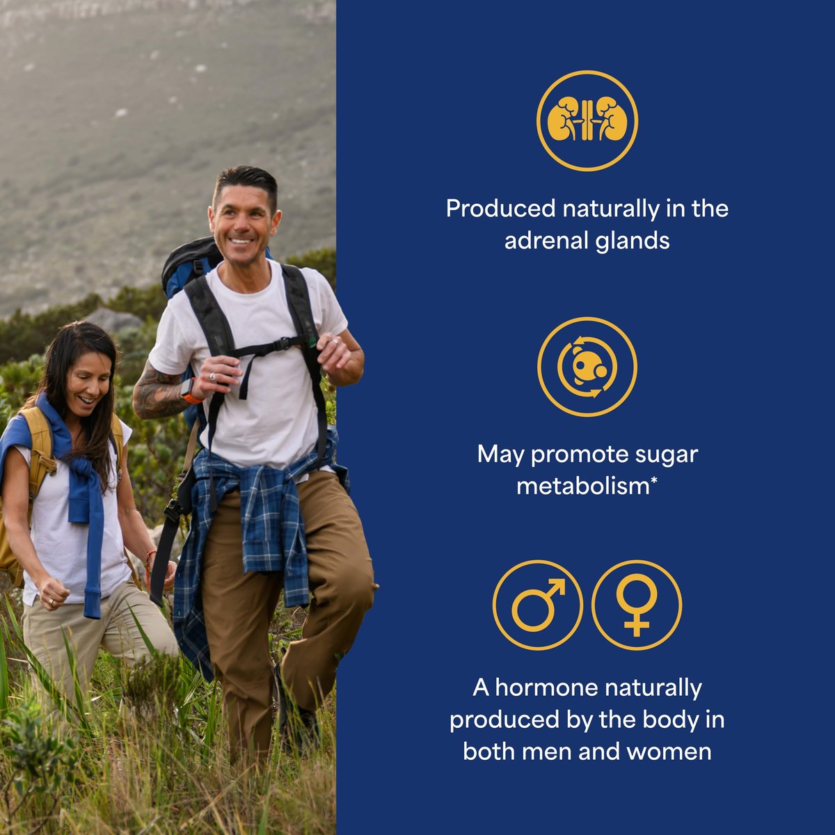 Puritan's Pride Youth Guard™ DHEA 25 mg – 250 Tabletten – Nahrungsergänzungsmittel für gesundes Altern für Frauen und Männer