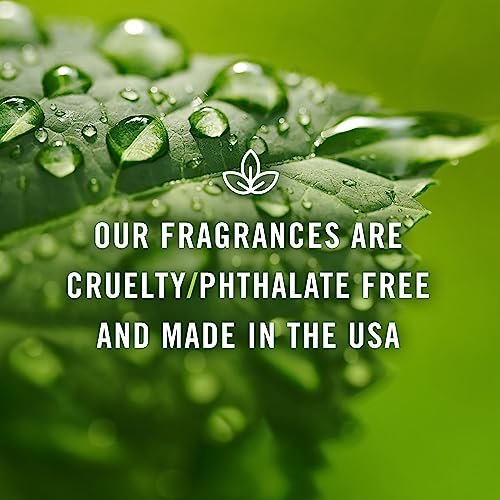 P&J Trading Duftöle für Diffuser – Kekse & Kuchen Set, 6 x 10 ml – Aromen für Zuhause, ideal für Duftlampen, Kerzen- und Seifenherstellung, Autoduft – Geschenkset mit Zuckerkeks & mehr