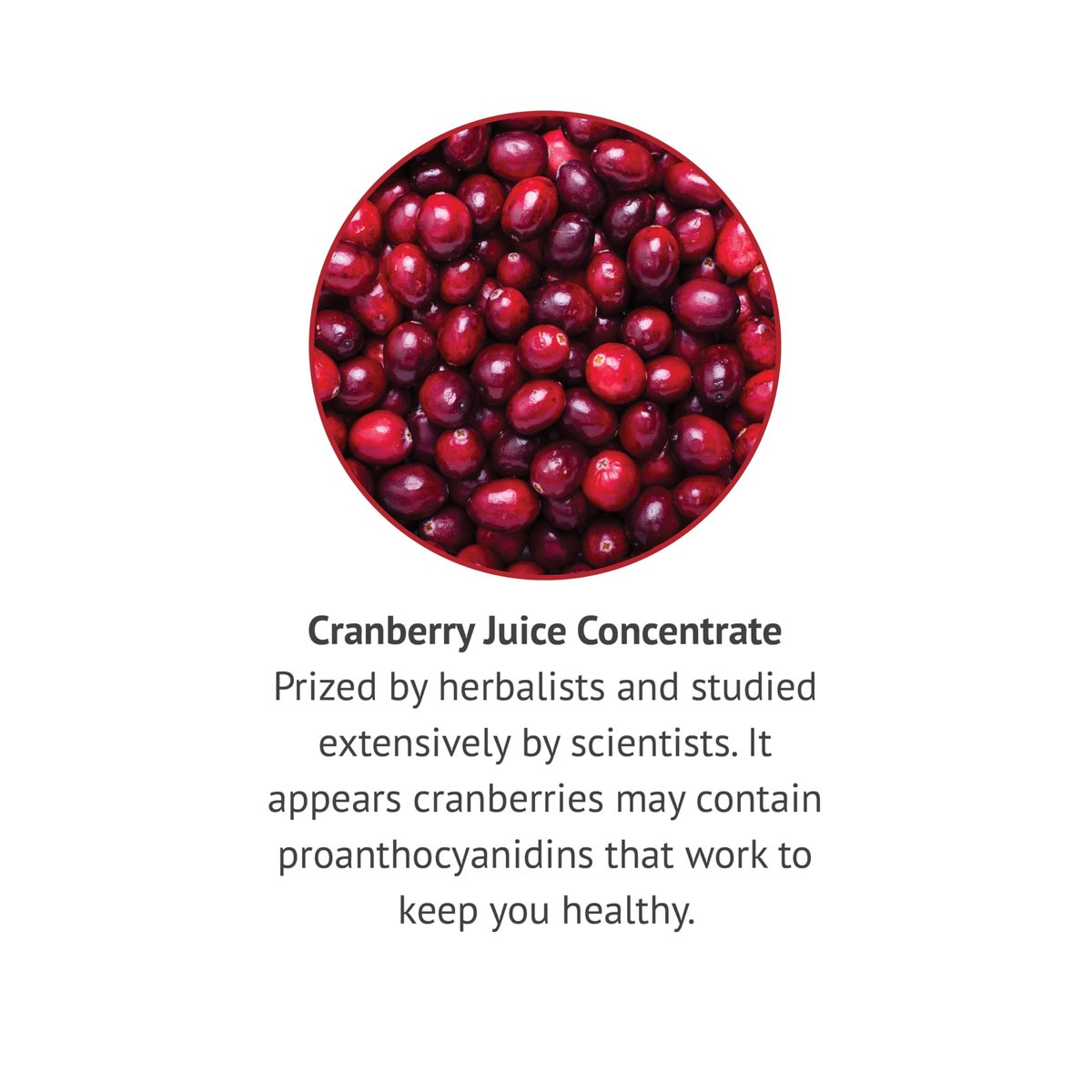 Botanic Choice Alkoholfreier flüssiger Cranberry-Extrakt, Nahrungsergänzungsmittel, 30 ml