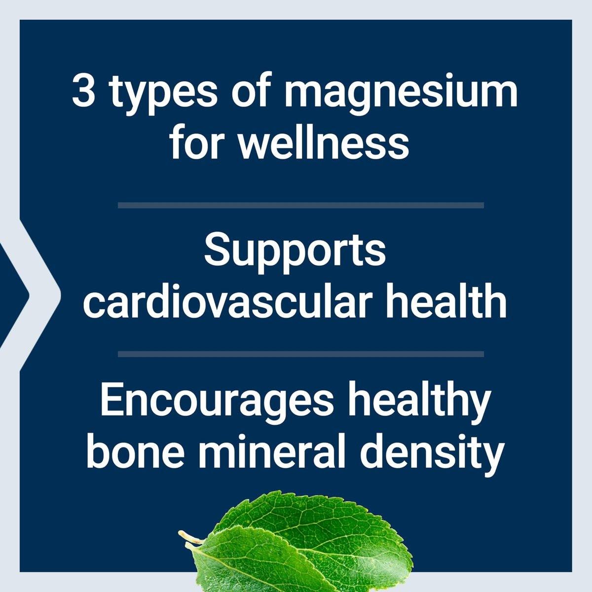 Life Extension Magnesium Kapseln, 500 mg, Magnesiumoxid, -citrat und -succinat, Herzgesundheit, Gesunde Knochen, Stoffwechselunterstützung, 100 vegetarische Kapseln