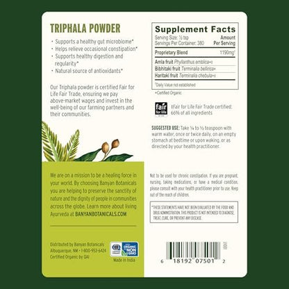 Banyan Botanicals Bio Triphala Pulver – Tägliche Verdauungsunterstützung & sanfte Darmreinigung – Reines Amla, Haritaki & Bibhitaki für Darmmikrobiom & Regelmäßigkeit – 450 g – USDA Bio