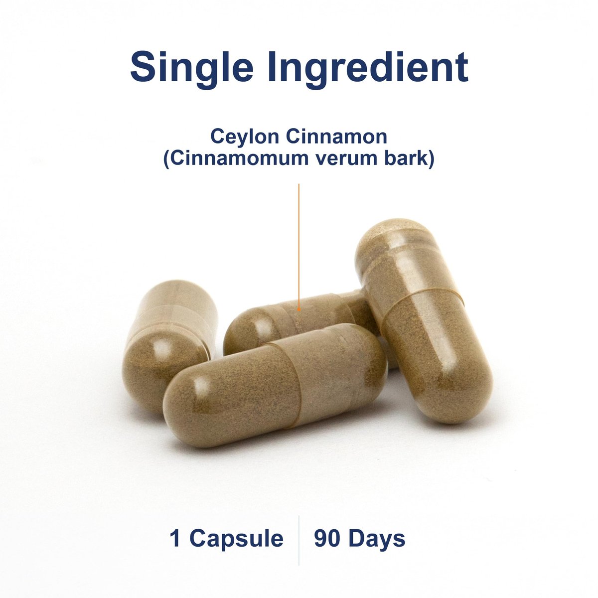 Carlson Ceylon Zimt Kapseln – 500 mg reines Zimtpulver, 90 Kapseln, Nahrungsergänzungsmittel