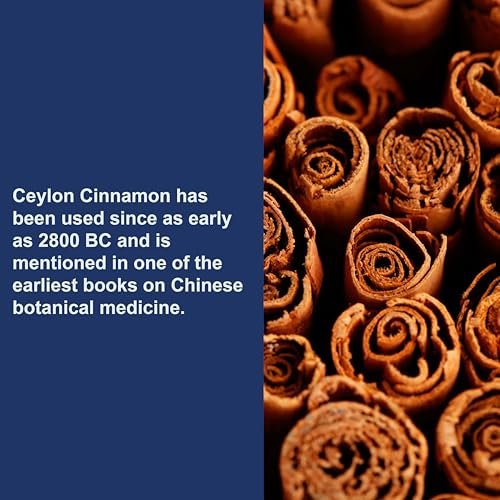 Carlson Ceylon Zimt Kapseln – 500 mg reines Zimtpulver, 90 Kapseln, Nahrungsergänzungsmittel