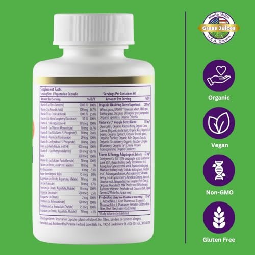 Paradise Herbs Earth's Blend Once Daily Multivitamin mit Eisen, 48 organische Superfoods, Probiotika, Antioxidantien, Vitamine A, B12, C, D, K2, 60 Kapseln