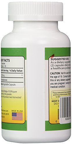 Biotech Nutritions Graviola 100% Reine Graviola 1300 mg pro Portion 120 Kapseln pro Flasche (Annona muricata)
