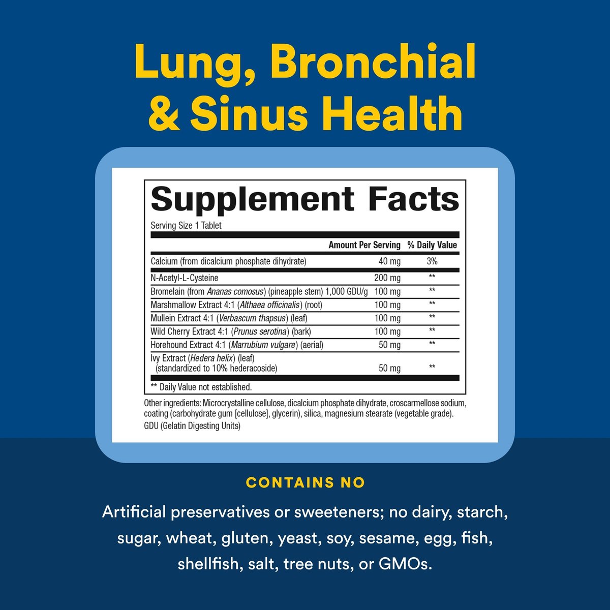 Lungen-, Bronchial- & Sinus-Gesundheit von Natural Factors – Natürliche Unterstützung für Atemwege und leichte Atmung, 45 Tabletten (45 Portionen)