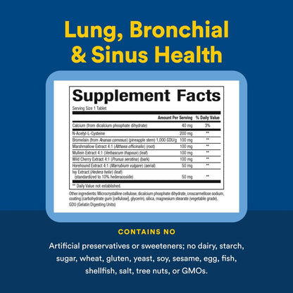 Lungen-, Bronchial- & Sinus-Gesundheit von Natural Factors – Natürliche Unterstützung für Atemwege und leichte Atmung, 45 Tabletten (45 Portionen)