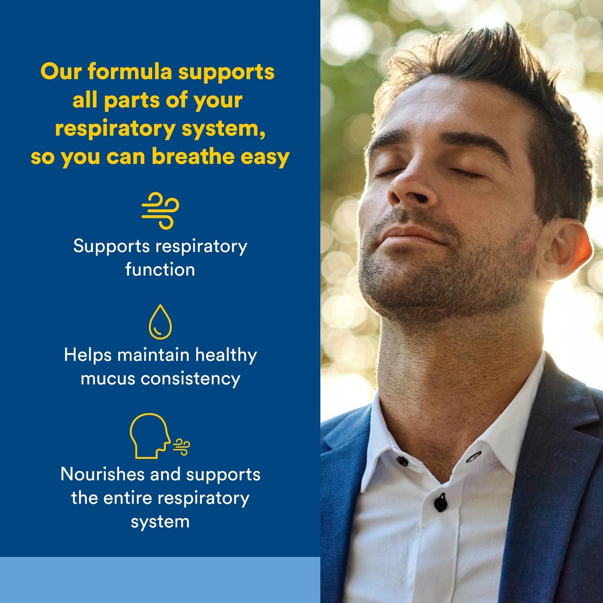 Lungen-, Bronchial- & Sinus-Gesundheit von Natural Factors – Natürliche Unterstützung für Atemwege und leichte Atmung, 45 Tabletten (45 Portionen)