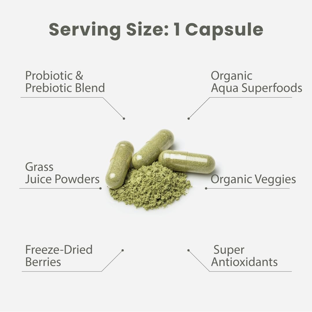 Paradise Herbs Earth's Blend Once Daily Multivitamin mit Eisen, 48 Bio-Superfoods, Probiotika, Antioxidantien, Vitamine A, B12, C, D, K2, tägliches Superfood, 30 Kapseln