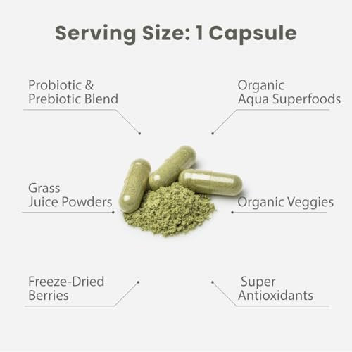 Paradise Herbs Earth's Blend Once Daily Multivitamin mit Eisen, 48 Bio-Superfoods, Probiotika, Antioxidantien, Vitamine A, B12, C, D, K2, tägliches Superfood, 30 Kapseln