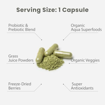 Paradise Herbs Earth's Blend Once Daily Multivitamin mit Eisen, 48 Bio-Superfoods, Probiotika, Antioxidantien, Vitamine A, B12, C, D, K2, tägliches Superfood, 30 Kapseln