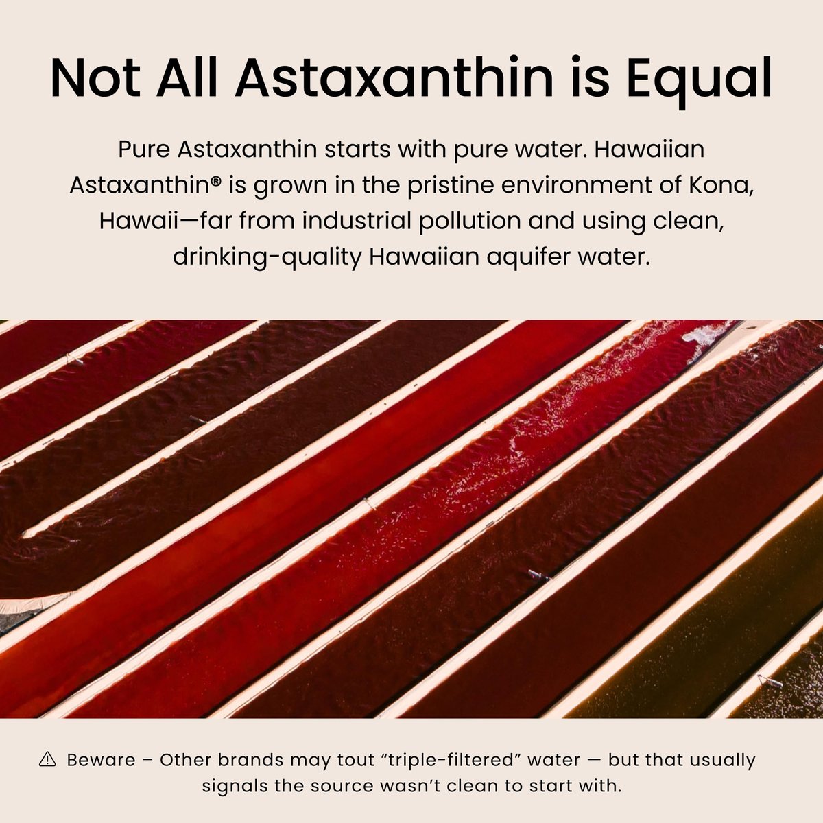 Nutrex Hawaii BioAstin Hawaiian Astaxanthin - 12mg Hochpotenz, 25 Weichkapseln - Antioxidans für Haut & Immunsystem - Premium Mikroalgen aus Kona, Hawaii - Non-GMO & Glutenfrei