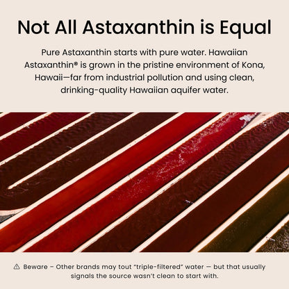 Nutrex Hawaii BioAstin Hawaiian Astaxanthin - 12mg Hochpotenz, 25 Weichkapseln - Antioxidans für Haut & Immunsystem - Premium Mikroalgen aus Kona, Hawaii - Non-GMO & Glutenfrei